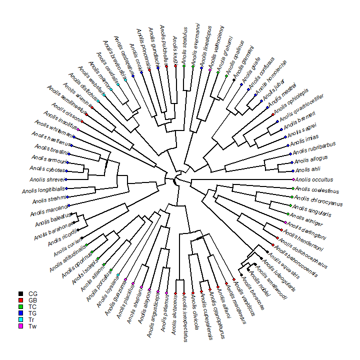 Ancestral state reconstruction II: Discrete characters